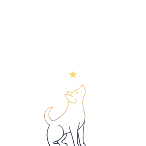 Laika - AI Testing Platform